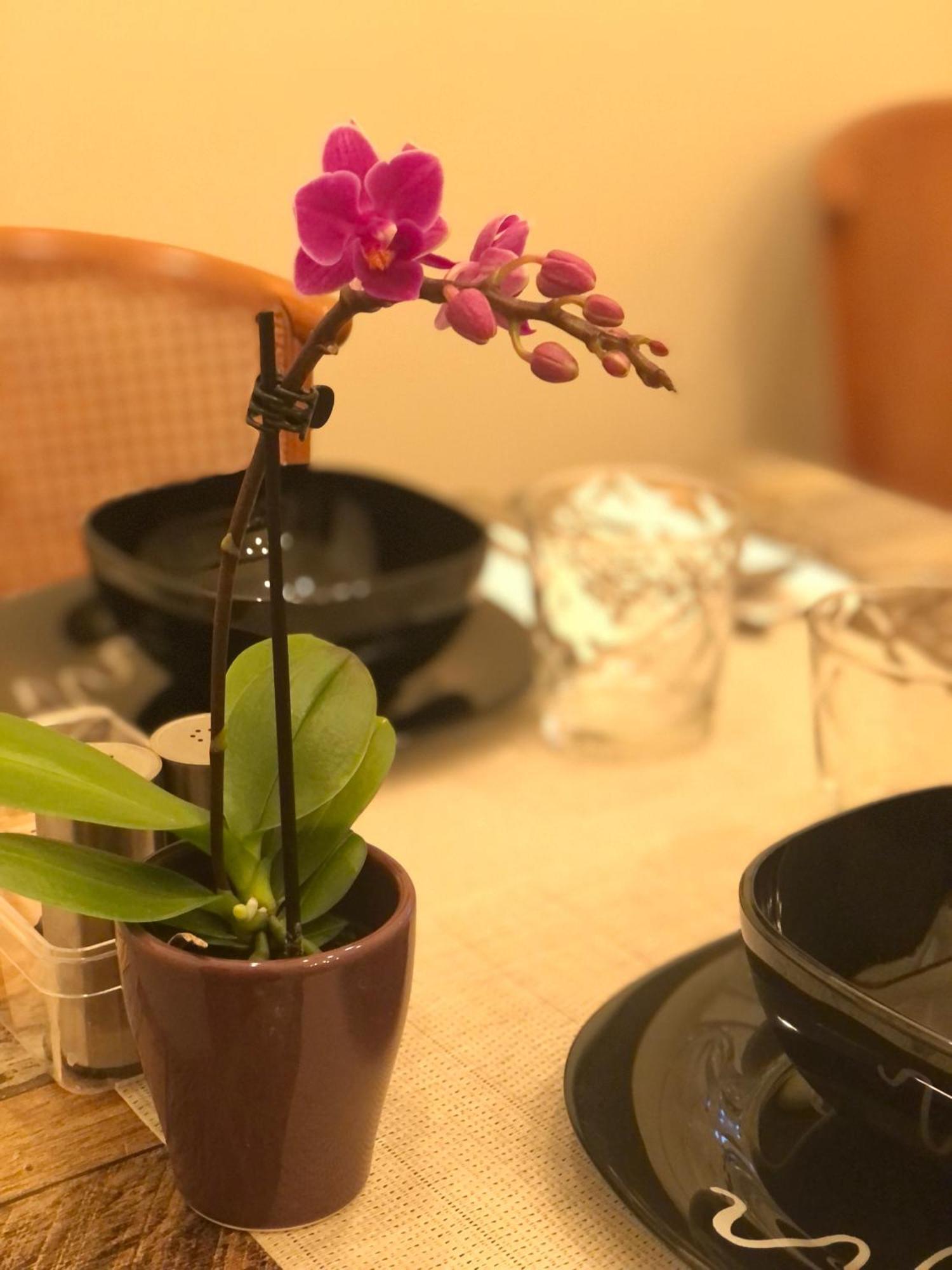 Serenity B&B Μπρέσια Εξωτερικό φωτογραφία